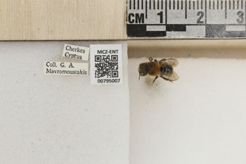 Media type: image;   Entomology 795007 Aspect: Labels